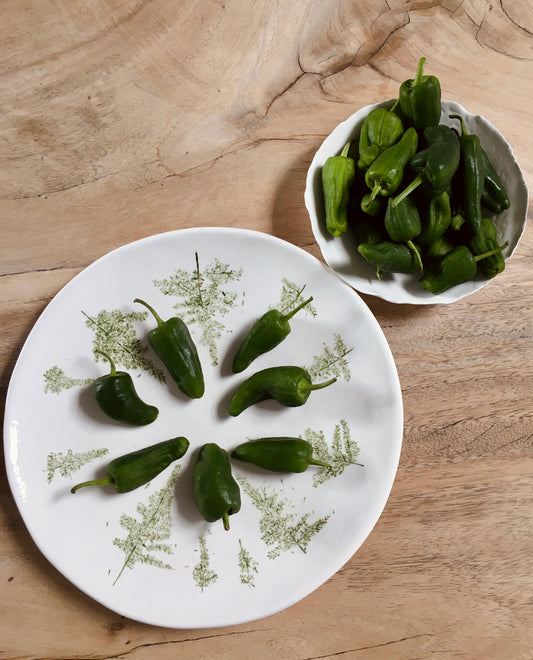 Plato grande con imprimación vegetal